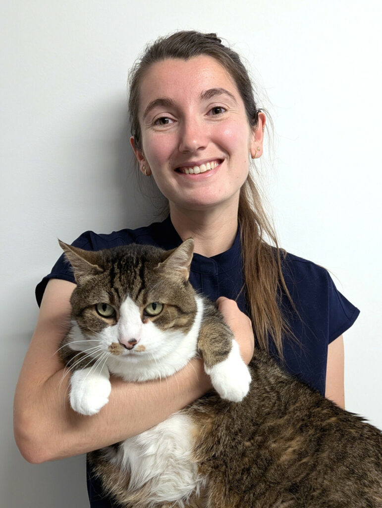 Docteur Vétérinaire Soubigou
